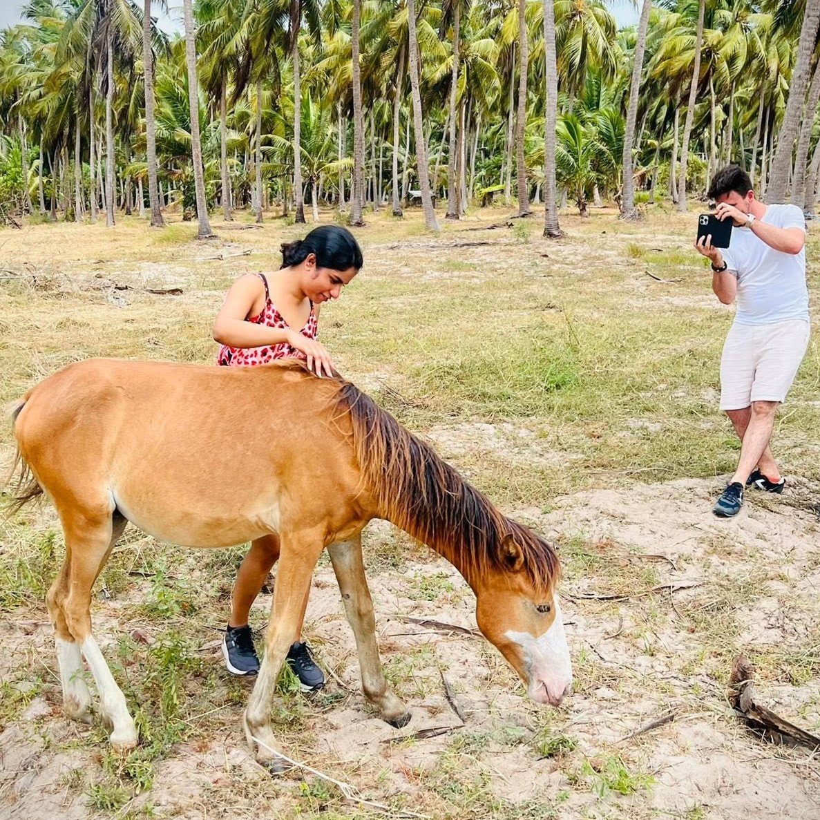 Horse Riding